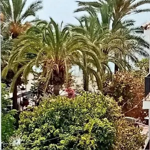 Old Town Apartamento Estepona